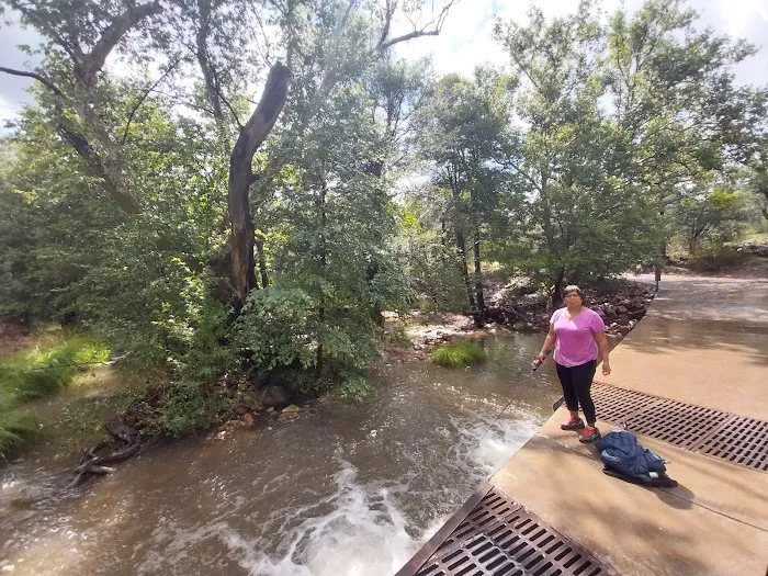 Haigler Canyon Campground Picture 5