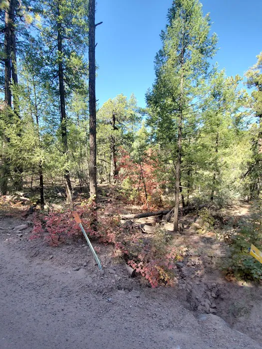 Haigler Canyon Campground Picture 7
