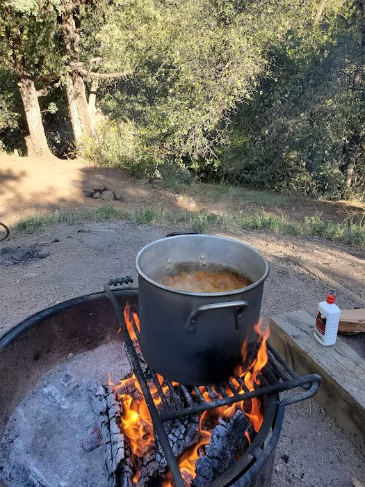 Haigler Canyon Campground Picture 9