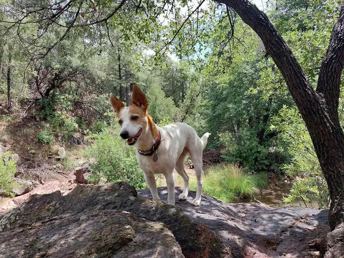 Haigler Canyon Campground Picture 10