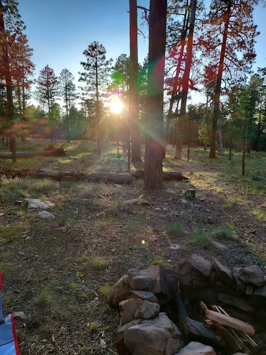 Fr 169 Campground Picture 2