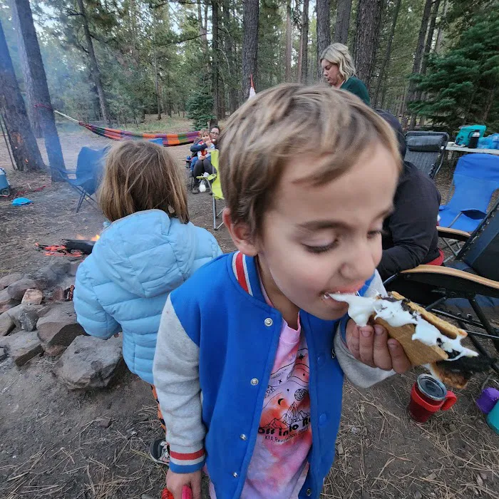 Fr 169 Campground Picture 8