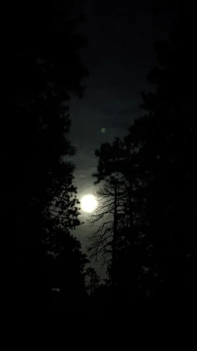 Fr 169 Campground Picture 10