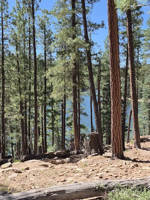 Bear Canyon Lake and Camping Area Picture 5