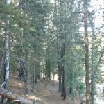Merganser Trailhead (recgovnpsdata)