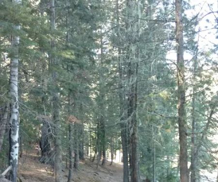 Merganser Trailhead (recgovnpsdata)