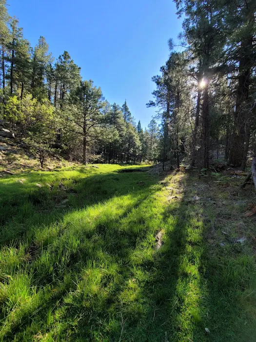 Fr 195 Campground Picture 2