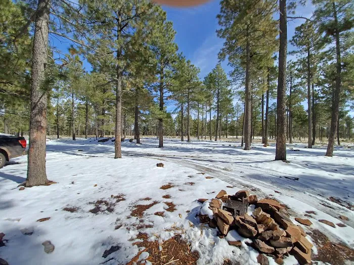 Fr 195 Campground Picture 4