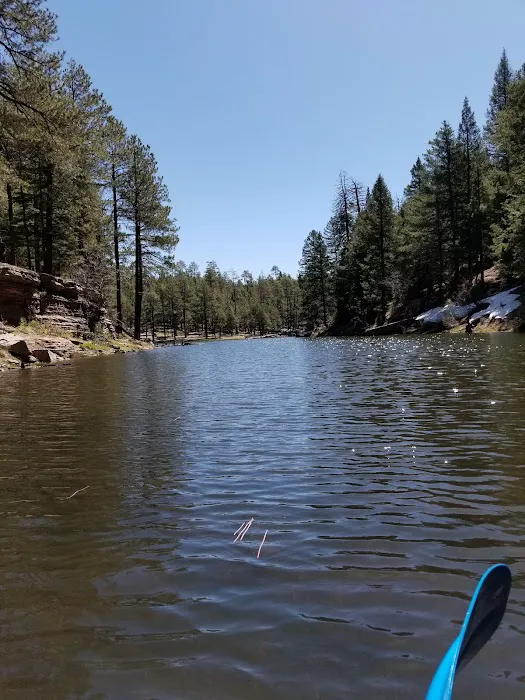 Fr 195 Campground Picture 5