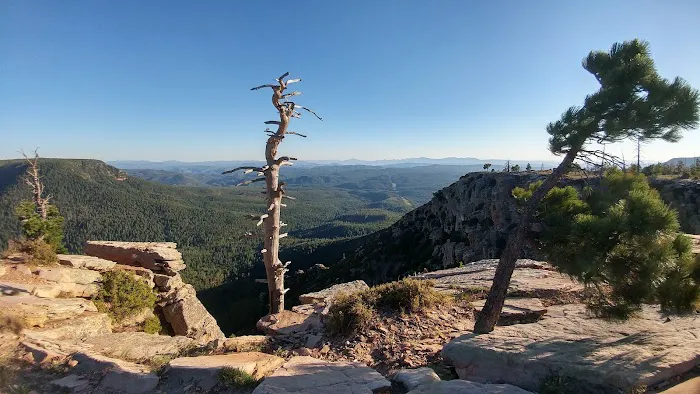Fr 195 Campground Picture 10
