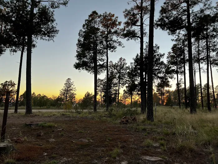 Fr 9350 Campground Picture 2