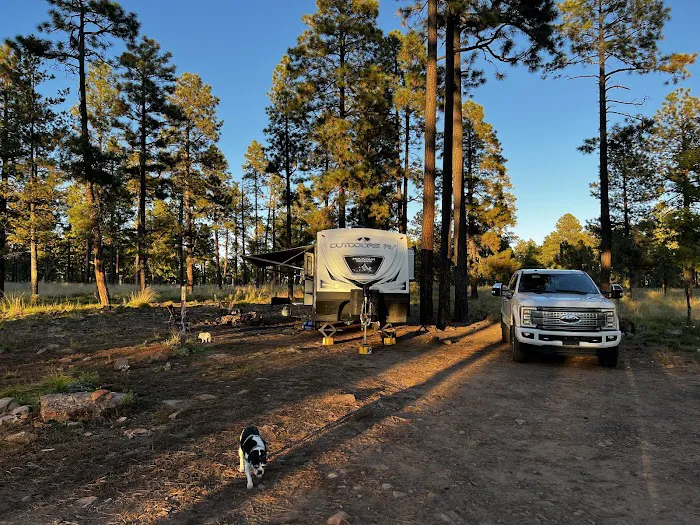 Fr 9350 Campground Picture 5