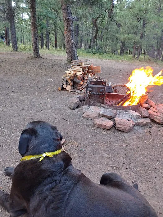 Fr 9350 Campground Picture 9