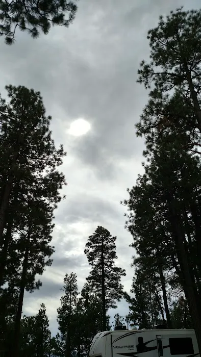 Fr 9350 Campground Picture 10
