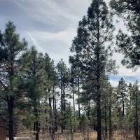 Mogollon Trailhead (recgovnpsdata) ico