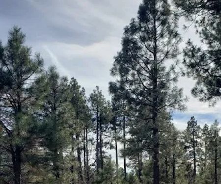 Mogollon Trailhead (recgovnpsdata)