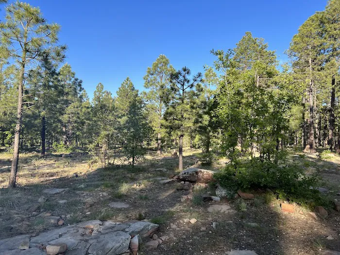 Mogollon Campground Picture 3