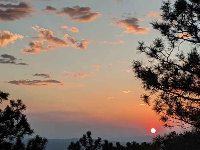 Mogollon Campground Picture 5
