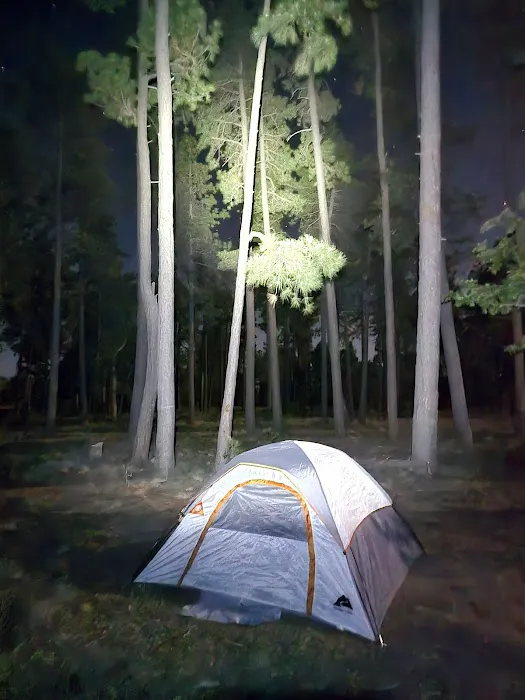 Mogollon Campground Picture 6