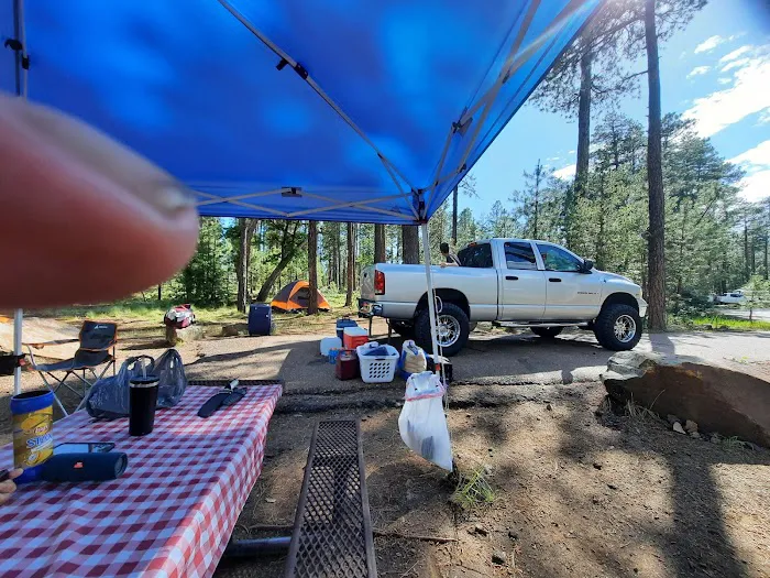 Mogollon Campground Picture 8