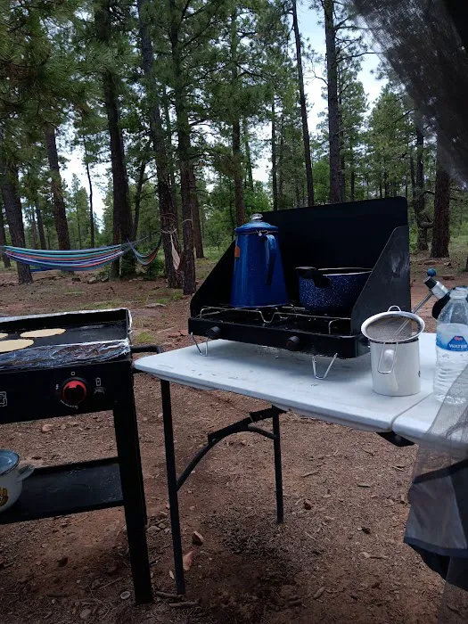 Mogollon Campground Picture 9
