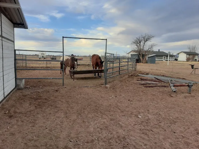 Rocking T Ranch Picture 1