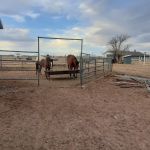 Rocking T Ranch
