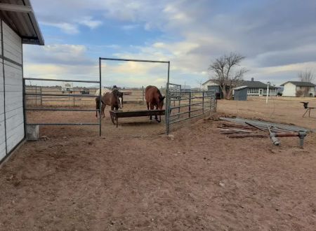Rocking T Ranch