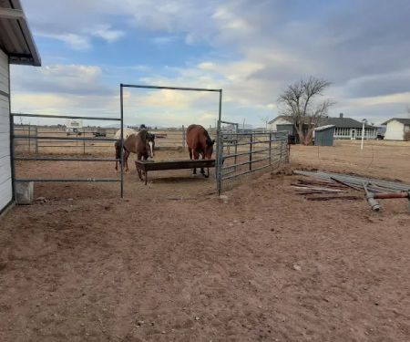 Rocking T Ranch