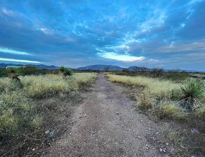 Desert Oasis Campground Picture 8
