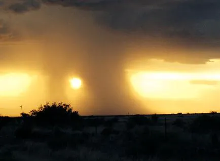 Double Adobe Campground and Shotgun Sports Picture 7