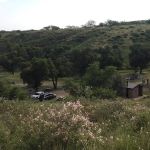 Calabasas Group Site