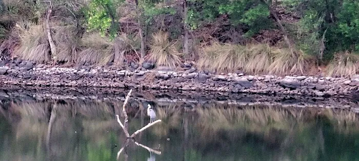 White Rock Campground Picture 7
