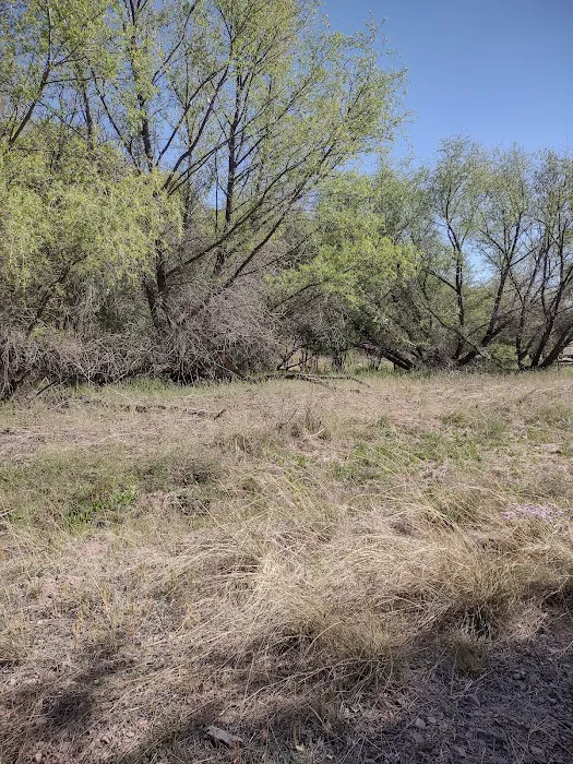 White Rock Campground Picture 6