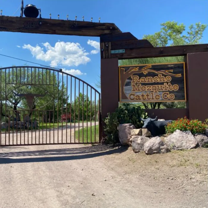 Mesquite Ranch Campground Picture 3
