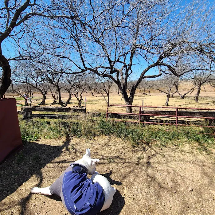 Mesquite Ranch Campground Picture 5