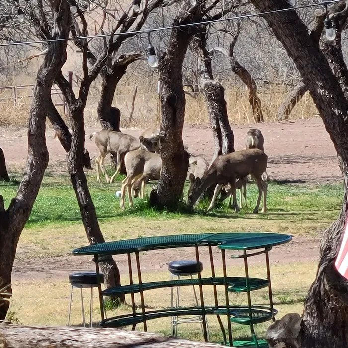 Mesquite Ranch Campground Picture 9