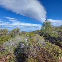 Ramsey Vista Campground ico