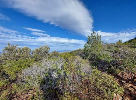 Ramsey Vista Campground