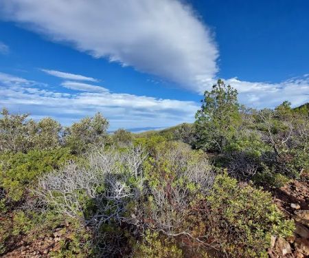 Ramsey Vista Campground