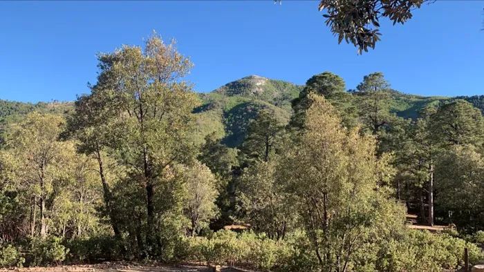 Ramsey Vista Campground Picture 4