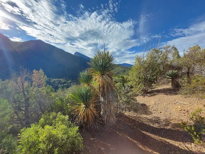 Ramsey Vista Campground Picture 2