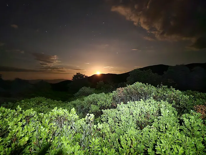 Ramsey Vista Campground Picture 10