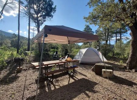 Reef Campground