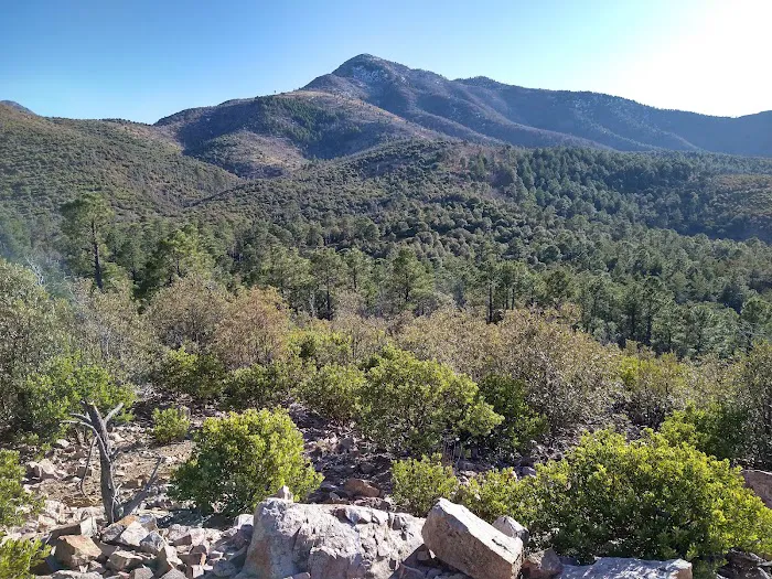 Reef Campground Picture 2