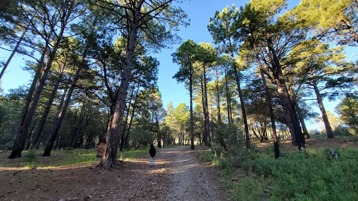 Reef Campground Picture 4