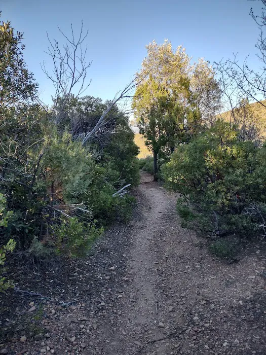 Reef Campground Picture 9
