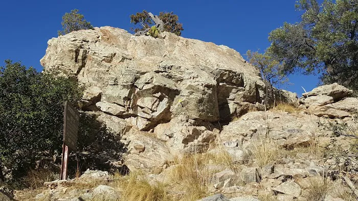 Reef Campground Picture 10