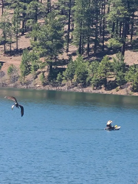 Cyclone Lake Campground Picture 10
