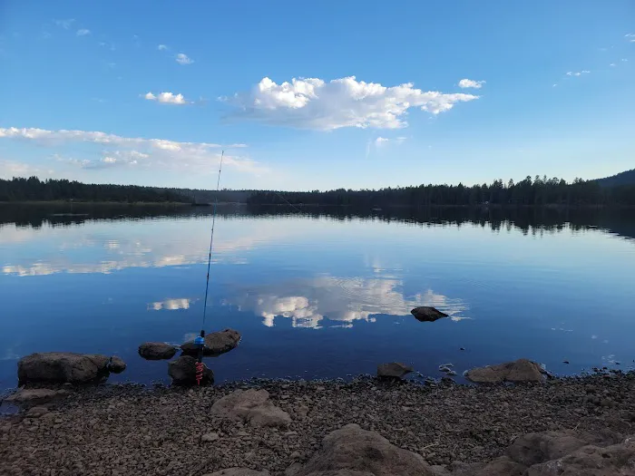 Hawley Lake Campground Area Picture 2